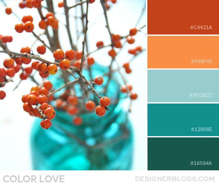10 Terrific Teal Colour Palette Ideas List Jennifer Ramirez Baulch